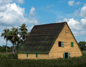 Tobacco Barn