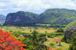 Countryside